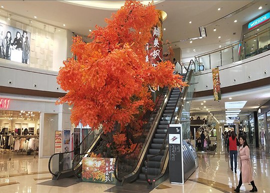 濟(jì)寧室內(nèi)dp點(diǎn)